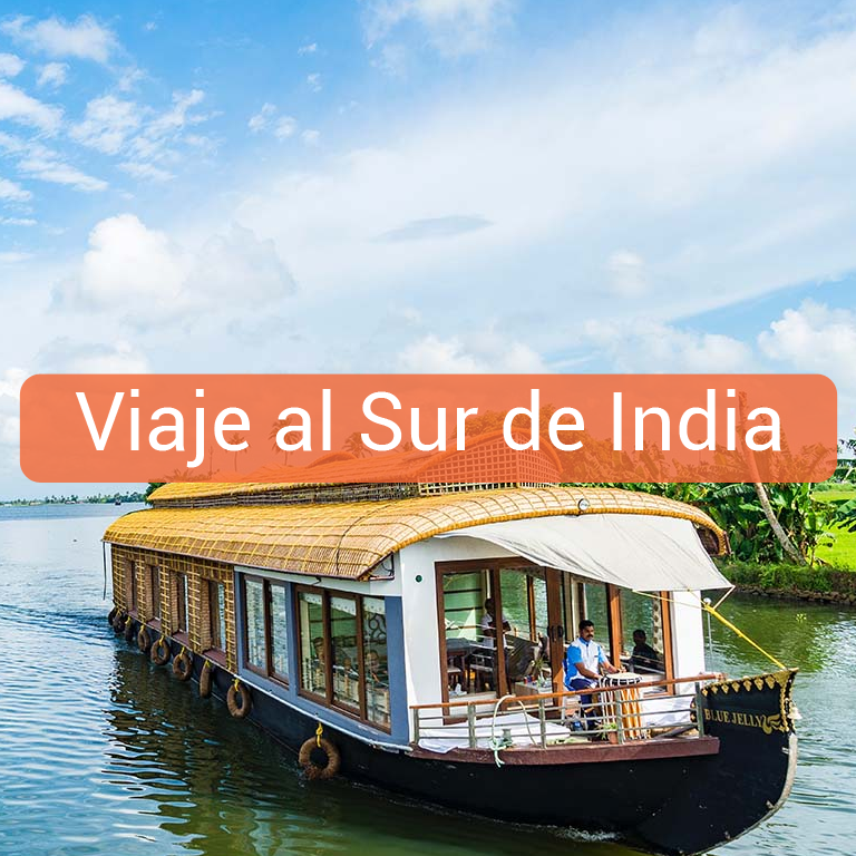 Viaje a India Salvaje